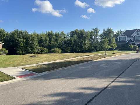 24232 S Bay To Bay Court, Manhattan, IL 60442