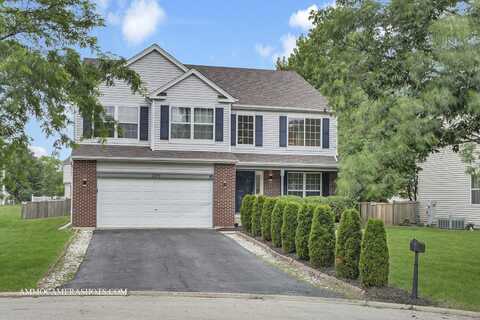 249 Gladiolus Drive, Romeoville, IL 60446