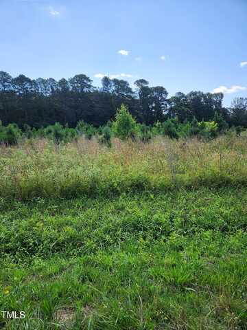 0 Paschall Station Road, Warrenton, NC 27589