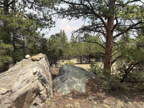 30160 Princeton Circle, Buena Vista, CO 81211