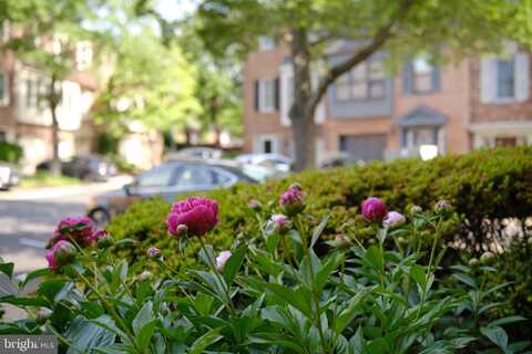 3816 USHER COURT, ALEXANDRIA, VA 22304