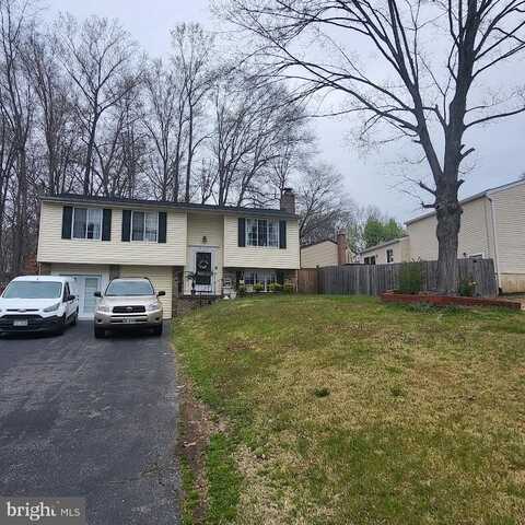 8102 WINTER BLUE COURT, SPRINGFIELD, VA 22153