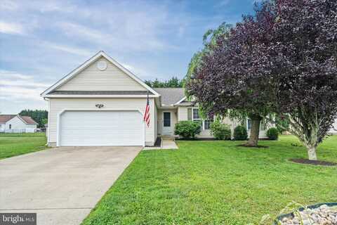 135 ALBERT PLACE, FELTON, DE 19943