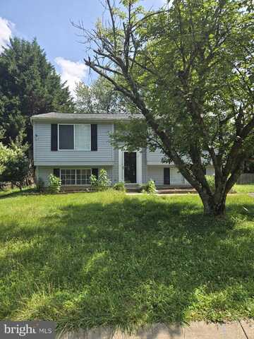 1409 ROSSITER COURT, SILVER SPRING, MD 20905