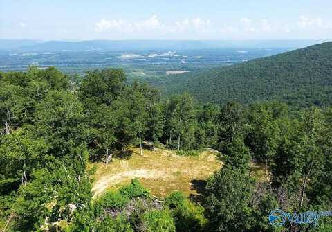 21.4 County Road 14, Flat Rock, AL 35966