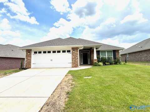 14254 Wildflower Drive, Harvest, AL 35749