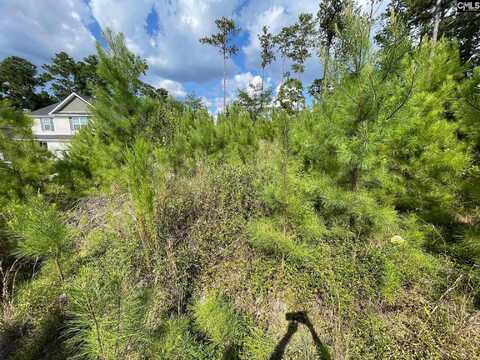 683 Poplar Grove Lane, Columbia, SC 29203