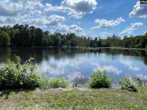 3318 Hollydale Drive, West Columbia, SC 29170