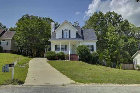 425 Beech Branch, Irmo, SC 29063