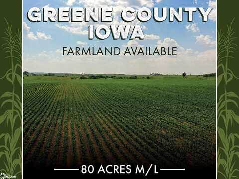 D Avenue, Scranton, IA 51462