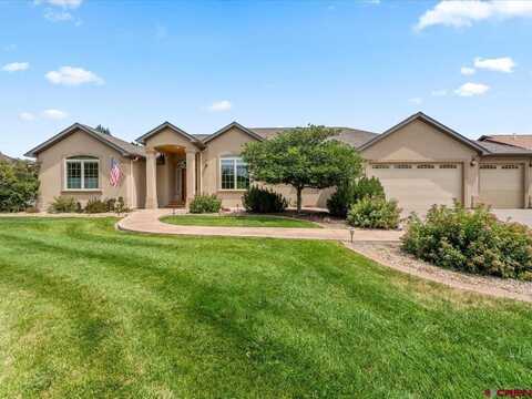 2001 Constitution Loop, Montrose, CO 81401