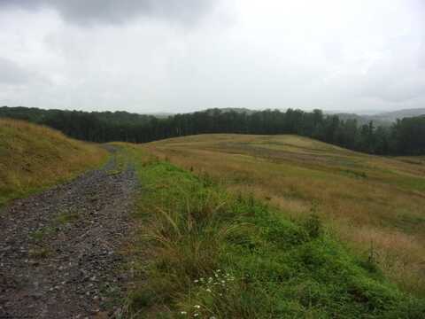 0 Everson Road, Buckhannon, WV 26201