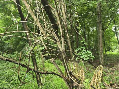 TBD Long Hollow, Masontown, WV 26542