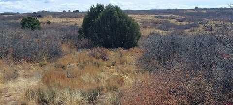 TBD Road C, Dove Creek, CO 81324