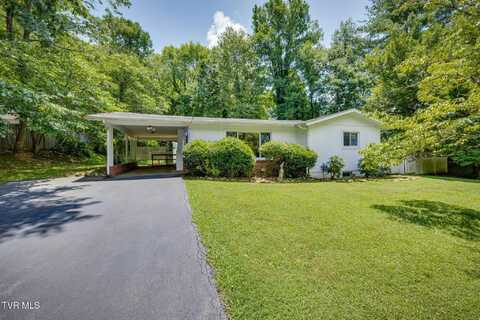 201 Beechwood Road, Bristol, TN 37620