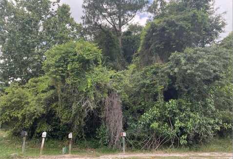 Hwy 129, Claxton, GA 30147