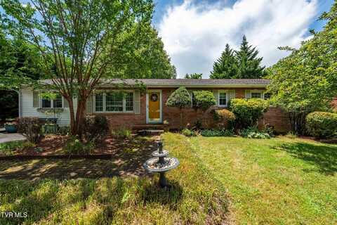 2309 Nave Drive, Johnson City, TN 37601