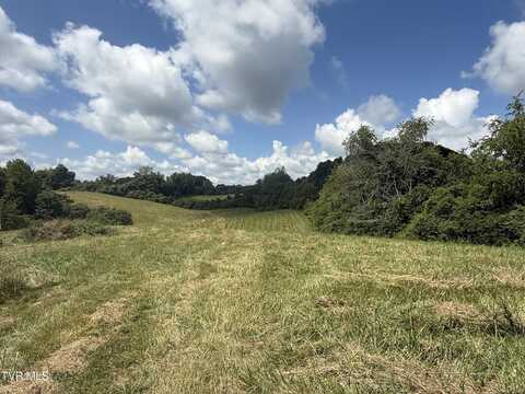 Tbd Forester Lane, Jonesborough, TN 37659