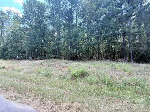 4.7 Acres Blade Run Road, Edgemoor, SC 29712