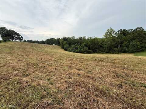 Shepards Hill Road, Jacobsburg, OH 43933