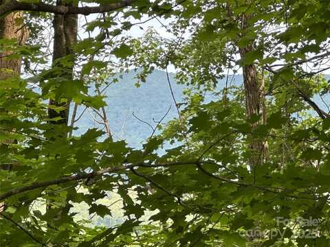 Knob Hill Lane, Seven Devils, NC 28604