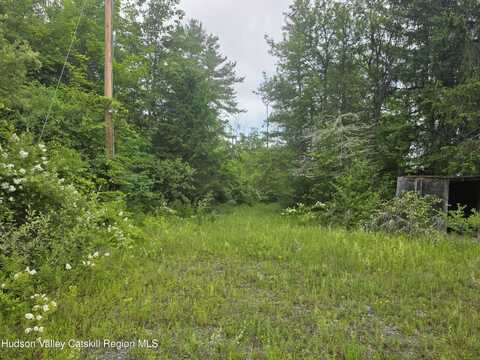 615 Allen Teator Road, Durham, NY 12469