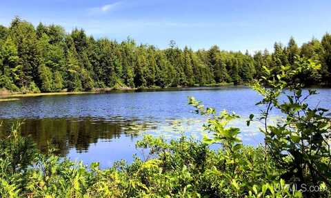 25 Acres TBD Pelissier Lake, Marquette, MI 49855