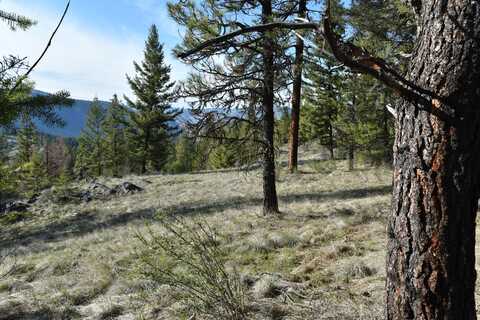 70 EXCELSIOR WAY, CURLEW, WA 99118