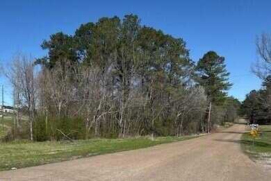 STELLA LOCKARD Rd, Cordova, AL 35550