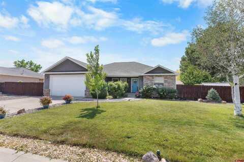 1673 6429 Circle, Montrose, CO 81403