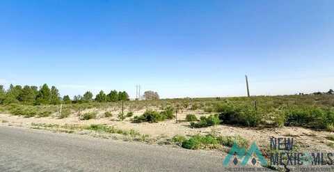 Mcfarland Road, Carlsbad, NM 88220