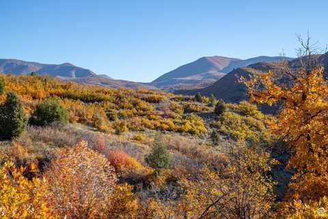 541 S LEFT FORK HOBBLE CREEK E, Springville, UT 84663