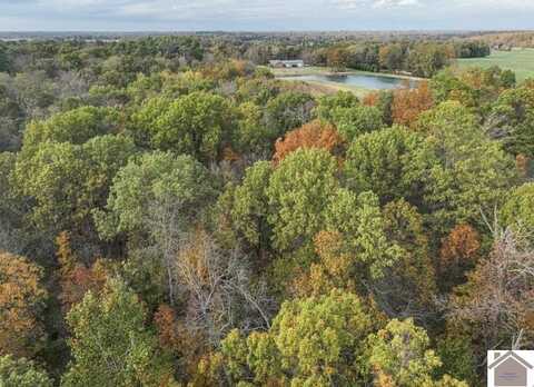00000 Childress Road, Kevil, KY 42053