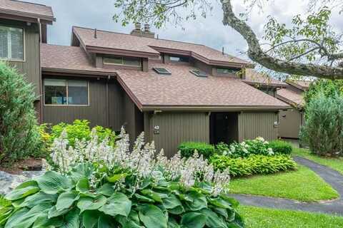1243 Murray Hill Heights Road, Manchester, VT 05255