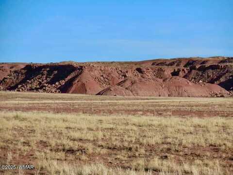 15 Co Rd N7284 40 Acres, Chambers, AZ 86502