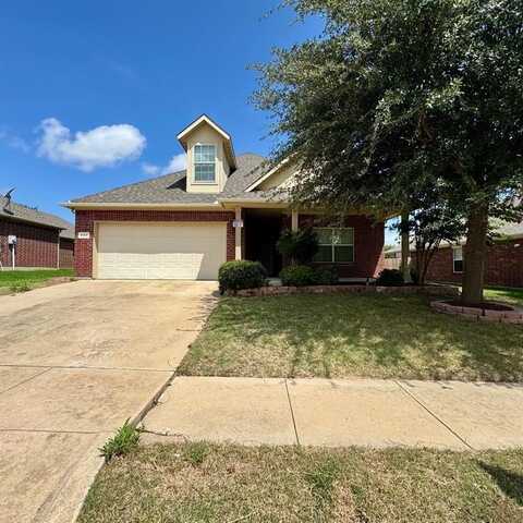 943 Mazatlan Drive, Arlington, TX 76002
