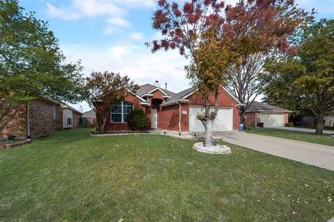 2529 Persimmon Drive, Little Elm, TX 75068