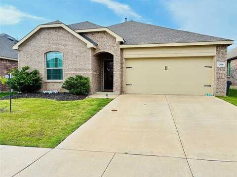1208 Mesquite Lane, Princeton, TX 75407