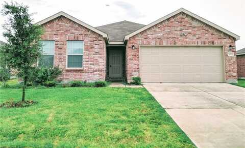 1017 Rivers Creek Lane, Little Elm, TX 75068