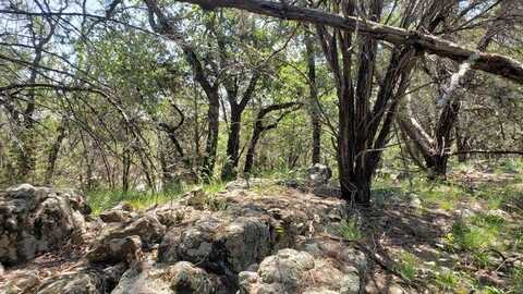 850b FM 2256, Mineral Wells, TX 76067