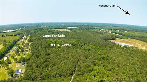 Big Piney Grove Road, Clinton, NC 28328