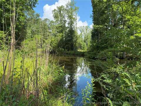 1111 Hollow Bridge Road, Autryville, NC 28318