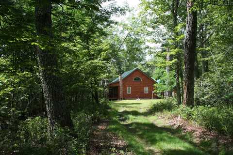 770 BLACK BEAR RIDGE LN, MONTEREY, VA 24458