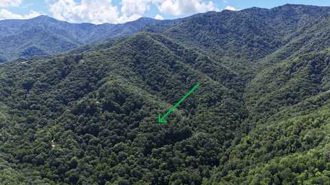 1824 Black Rock Rd, Kelly, NC 28719