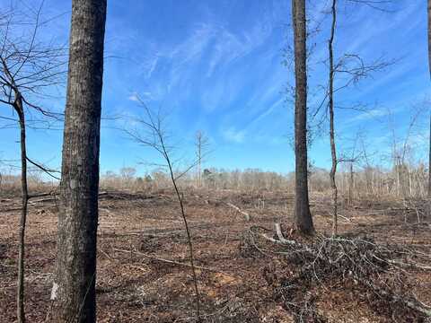 - Pettey Road, Forest, MS 39074