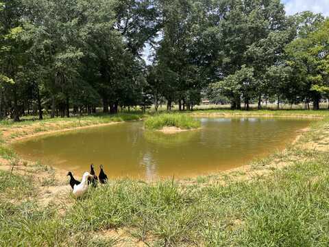0 Albert Mann Rd, New Home, AL 35760