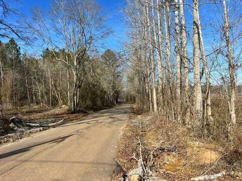 - Pettey Road, Forest, MS 39074