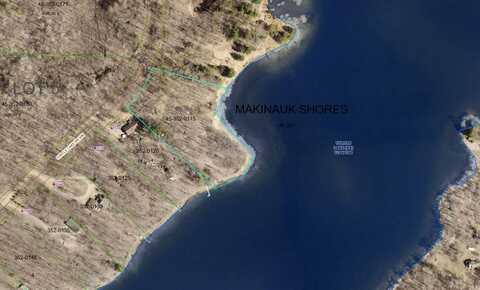 Lot 2 Turtle Lake Drive NW, Walker, MN 56484
