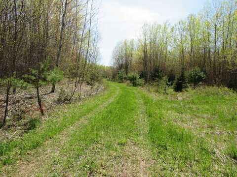 TBD Rice Lake Road, Lake Linden, MI 49945