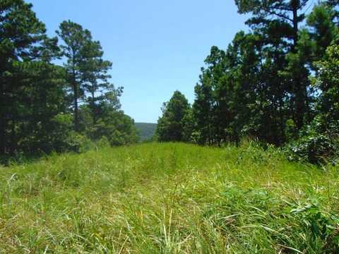 tbd Peach Creek Road, Fan, OK 74935